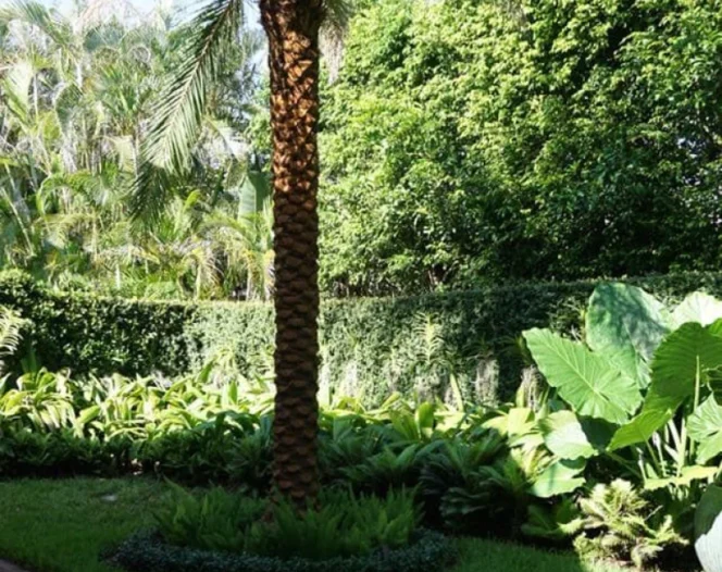 Content 3 Landscaping service